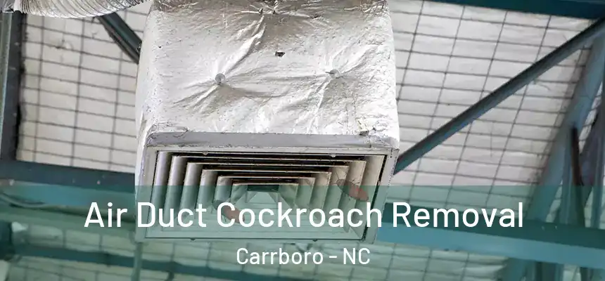  Air Duct Cockroach Removal Carrboro - NC