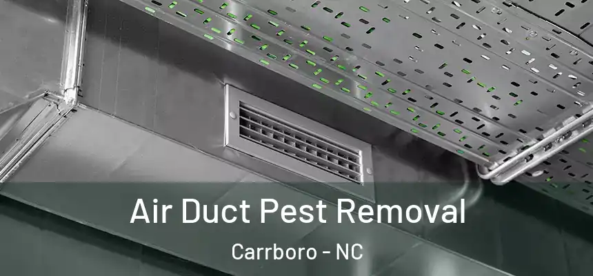 Air Duct Pest Removal Carrboro - NC