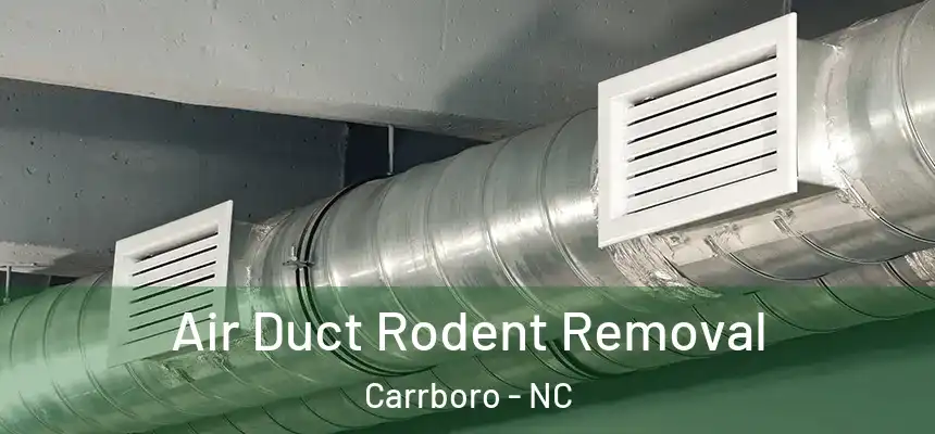Air Duct Rodent Removal Carrboro - NC