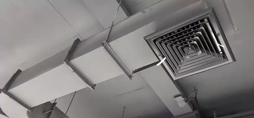 Restorative Allergy Relief Vent Cleaning – Coil, Blower & Housing Detail in Carrboro