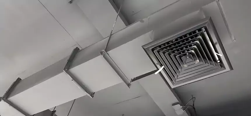 Our Rodent Droppings In Vents Services in Carrboro, NC