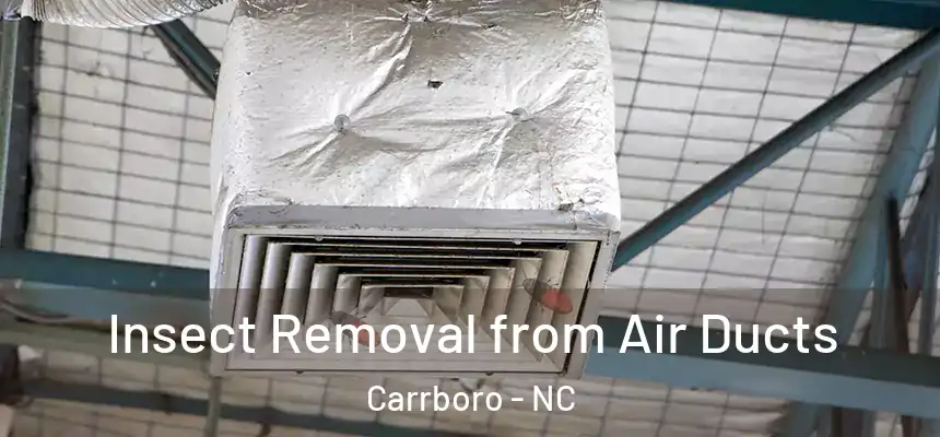  Insect Removal from Air Ducts Carrboro - NC