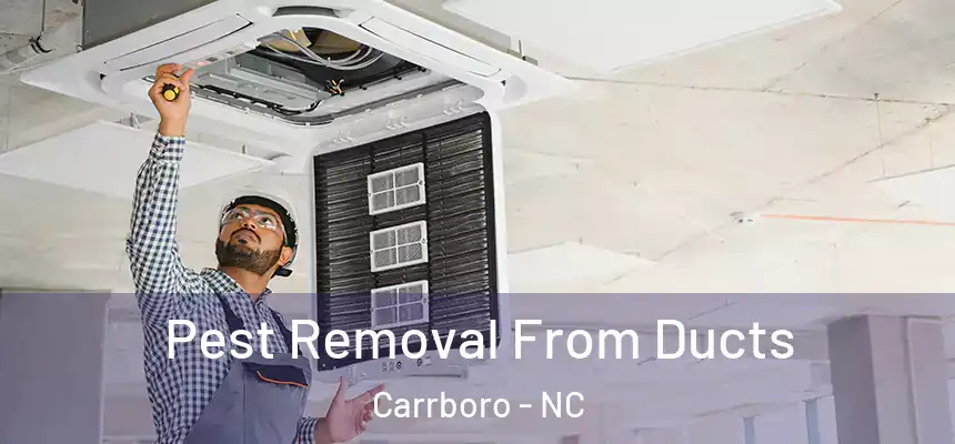 Pest Removal From Ducts Carrboro - NC