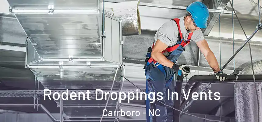 Rodent Droppings In Vents Carrboro - NC
