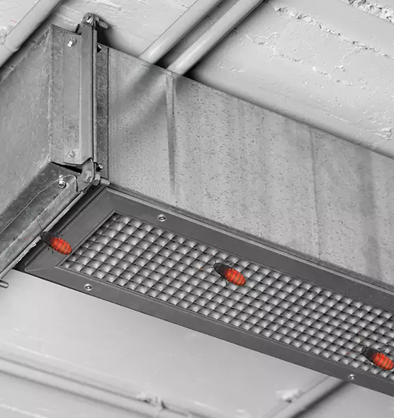 Affordable Insect Removal from Air Ducts in Carrboro, NC