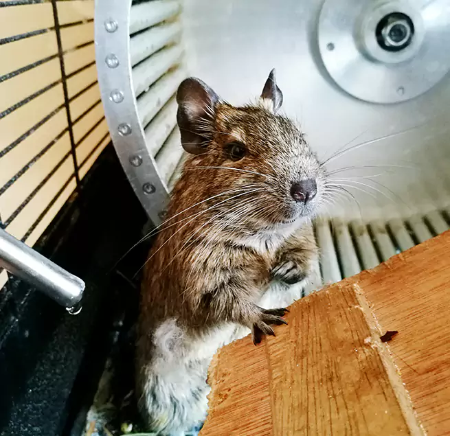 Why Homeowners & Businesses Trust Us Carrboro, NC