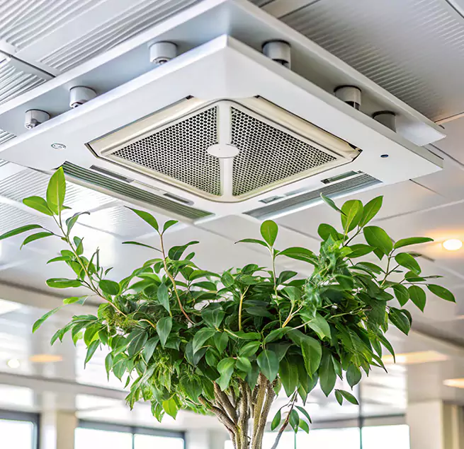 Why Homeowners & Businesses Trust Us in Carrboro, NC?