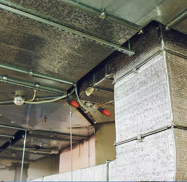 Why Homeowners & Businesses Trust Us Carrboro, NC?