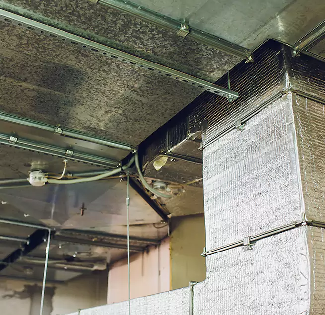 Why Homeowners & Businesses Trust Us in Carrboro, NC?